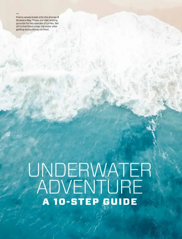  ??  ?? Foamy waves break onto the shores of Sodwana Bay. These are vital nesting grounds for two species of turtles. Set off to find them under the water after getting scuba diving certified.