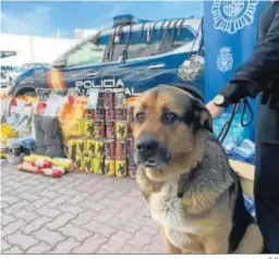  ?? G. H. ?? Imagen de archivo de un perro policía.