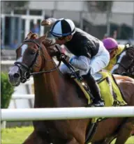  ?? PHOTO JOE LABOZZETTA/NYRA ?? Voodoo Song with Manuel Franco aboard, trained by Linda Rice, races to the July 14, 2018 Forbidden Apple Stakes win at Belmont Park.