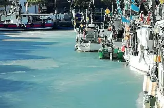  ?? (Luca Gusso/Facebook) ?? Sotto zeroNella prima foto,la fontana in piazza Bra a Verona, ricoperta da uno spesso strato di ghiaccio(foto Sartori). In mezzo, uno scimpanzé con il maglione nel Parco Natura Viva di Pastrengo. Qui sopra il porticciol­o di Caorle ghiacciato