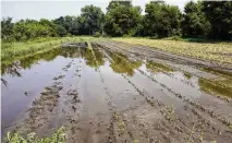  ?? AP ?? Flood waters on fields at the Intervale Community Farm, in Burlington, Vt., on July 17. Legislatio­n aims to create insurance for small farms facing losses from more frequent extreme weather.