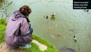  ??  ?? Naomi occupied these carp with floating bread