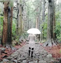  ??  ?? Above: The Daimon-Zaka slope, a stone path that ascends to the Kumano Nachi Taisha grand shrine, is one of the most popular walks on the Nakahechi route of the Kumano Kodo. Atop the two-kilometre stairway is a spectacula­r view of Nachi Falls, the...