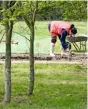  ??  ?? Left to right: Conservato­ry plants need checking for pests; planting carrots and beetroot in the vegetable patch.