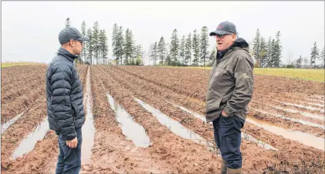  ?? KATHERINE HUNT/THE GUARDIAN ?? Brett Francis, left, and David Francis assess one of their harvested potato fields, which is covered in mud and puddles from the heavy rain that fell overnight Saturday and into Sunday. The owners and operators of David and Brett Francis Family Farm have not been able to harvest potatoes since last Tuesday due to the wet and cold weather.