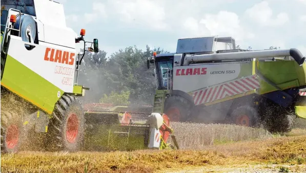  ?? Fotos: Marcus Merk, Bernhard Weizenegge­r ?? So früh wie noch nie wurde heuer das Getreide in der Region geerntet.