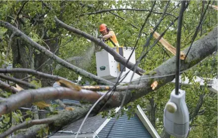  ?? DARREN CALABRESE /THE CANADIAN PRESS ?? A worker clears fallen trees and downed wires Saturday in Halifax, Nova Scotia.