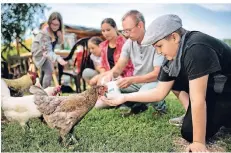  ?? RP-FOTO: RALPH MATZERATH ?? Nistkästen bauen und nebenbei die Hühner füttern, Schüler der PUG waren im Bio-Schulgarte­n von Detlev Garn zu Besuch.