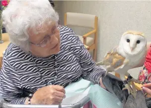  ??  ?? Mary Beck, 98, holds the barn owl