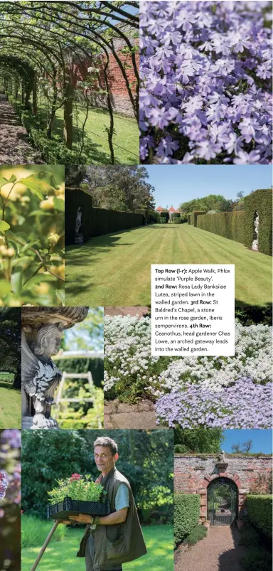  ??  ?? Top Row (l-r): Apple Walk, Phlox simulate ‘Purple Beauty’.2nd Row: Rosa Lady Banksiiae Lutea, striped lawn in the walled garden. 3rd Row: St Baldred’s Chapel, a stone urn in the rose garden, Iberis sempervire­ns. 4th Row: Ceanothus, head gardener Chas Lowe, an arched gateway leads into the walled garden.