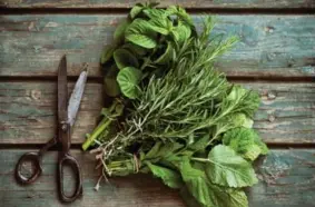  ?? DREAMSTIME ?? Homegrown herbs can mean having fresh ones on hand for cooking.