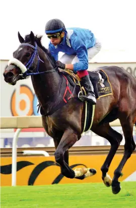  ?? Picture: JC Photograph­ics ?? A STAR IS BORN. Hawwaam is a very impressive winner of the Grade 2 Dingaans at Turffontei­n on Saturday. What’s being planned for this emerging talent? See Page 8.