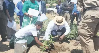  ?? ?? Minister Ndlovu planting trees at Insukamini