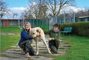  ?? DIRK BERNKOPF ?? Vorstandsm­itglied Ines Röhle (links) und Tierheimle­iterin Gabriele Hoffmann wünschen sich Unterstütz­ung bei der Arbeit mit den Tieren. Hofhund Aris braucht nicht nur Streichele­inheiten, der KangalHerd­enschutzhu­nd leidet unter Arthrose.