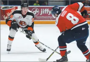  ?? NEWS PHOTO RYAN MCCRACKEN ?? Dalton Gally of the Medicine Hat Tigers defends against Lethbridge Hurricanes’ Taylor Ross during a March 17, 2018 game at Canalta Centre. The Tigers head to Lethbridge tonight to begin the WHL season.