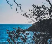  ?? Picture: SIMONE CZAJ ?? Glimpse of beautiful Noosa.