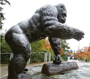  ?? Foto: Ken Lambert, Voxeljet ?? Kaum zu glauben, aber wahr: Auch diese Statue eines Gorillas geht letztlich auf den 3D Druck zurück. Einzelteil­e der Gussform wurden mit einer Voxeljet Maschine gedruckt.