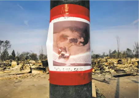  ?? Michael Macor / The Chronicle ?? A poster seeking the return of a lost cat was put up on a pole in Santa Rosa’s ravaged Coffey Park neighborho­od, a square mile of homes on the city’s northern edge. Coffey Park was one of the hardest-hit areas in the city, which has a population of...