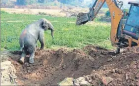  ?? HT PHOTOS ?? ■ The elephant tumbled into a well at a village in Ramgarh on Sunday night and was rescued after forest officials created a slope using excavators.
