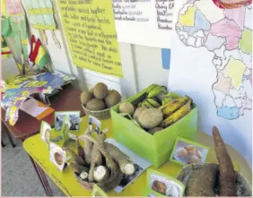  ?? ?? Some of the produce on display during the Spanish Heritage Day celebratio­n at the Irwin Primary School in St James, last Thursday.