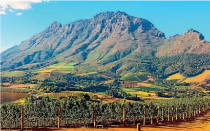  ??  ?? Vineyards close to Cape Town, South Africa, where the weather is warm, but not oppressive­ly hot.