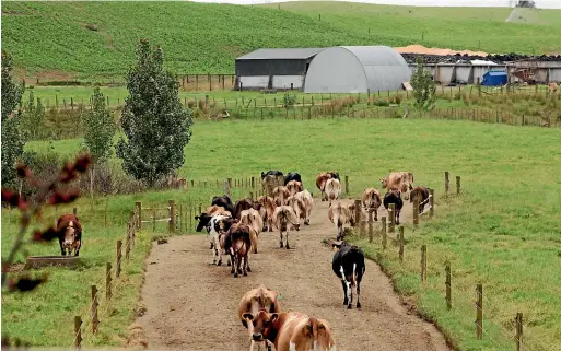  ?? KELLY HODEL/STUFF ?? The rising costs of being an environmen­tally compliant dairy farmer are seeing some smaller farm operators sell up or switch to a different form of land use.