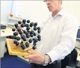  ?? [CHRIS RATCLIFFE/BLOOMBERG] ?? Philip Martineau, director of physics at the De Beers Research Centre, holds a molecular model of a diamond at De Beers Technologi­es research laboratory in Maidenhead, England.