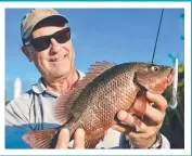  ??  ?? Mark Lawson was trying for a barra in the Nerang River when he caught this nice mangrove jack.