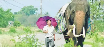  ??  ?? The film stars Thaneth Warakulnuk­roh as a down and out architect who is reunited with his childhood elephant. — Sundance photo