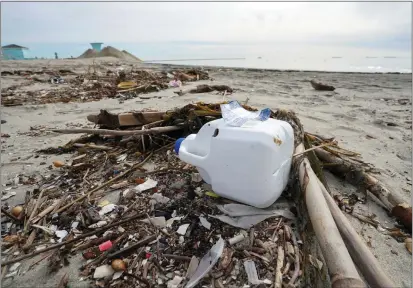  ?? SCOTT VARLEY — STAFF PHOTOGRAPH­ER ?? Post storm debris made up mostly of plastics and vegetation is scattered across the high tide line in 2019.