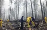  ?? KATHLEEN RONAYNE — THE ASSOCIATED PRESS ?? After a brief delay to let a downpour pass, volunteers resume their search for human remains at a mobile home park in Paradise, Calif., on Friday.