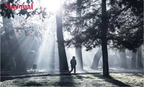  ?? FOTO: REINALDO UBILLA ARCHIVO ?? ►►
Parque Quinta Normal en Santiago, durante uno de los días más fríos de mayo.