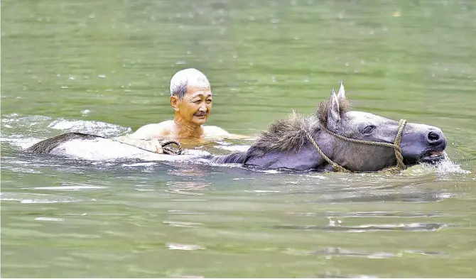  ?? Danny Pata ?? COOLING OFF. Farmer Fernando Sumilades bathes his horse in the Dumacaa River in Tayabas City, Quezon to beat the scorching heat. The weather bureau said that there is a 90-percent chance that El Niño will persist until the first quarter of 2024.