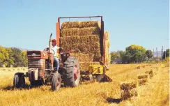  ?? ADOLPHE PIERRE-LOUIS/JOURNAL ?? Eduardo Gutierrez collects bails of hay at a farm near Bridge and Atrisco in October 2019. The South Valley started as primarily agricultur­al community.