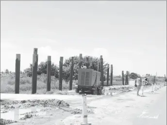  ??  ?? Piles to be driven in a trench at Triumph, East Coast Demerara.