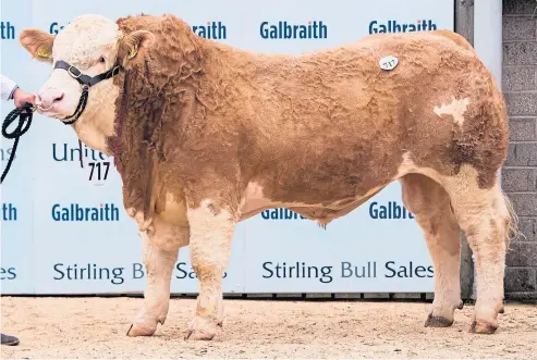  ?? Pictures: Wullie Marr. ?? Above: Simmental bull Team Jackpot which sold for 14,000gn. Right: Overall Charolais champion bull Balthayock Octavian with Davie and Tracey Nicol, Major David Walter, Ron MacKay and Hector Campbell.