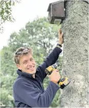  ??  ?? Community effort Chris Martin from Perth and Kinross Council puts up one of the bird boxes at Davie Park