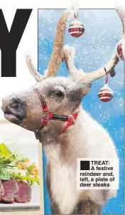  ??  ?? TREAT: A festive reindeer and, left, a plate of deer steaks