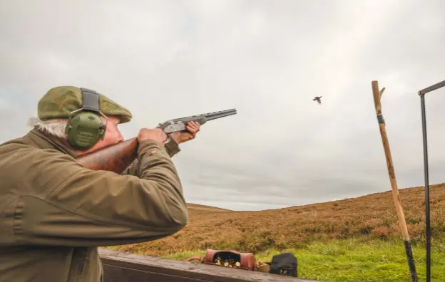  ??  ?? Above: fine shooting from James Hamilton at St Arnold’s. Right, top: Smuggler brings in a bird to Tim Trembath. Right: leg rings indicate this bird is a veteran of the moor. Previous page: William Gardiner deftly adds to the bag on the fourth drive