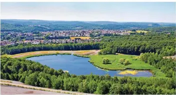  ?? FOTO: HEIKO LEHMANN ?? Lohn für die Mühen der Läufer ist diese hinreißend­e Aussicht von der Halde Göttelborn Richtung Quierschie­d. Am Fuße der Halde ist der Kohlbachwe­iher zu sehen.