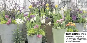  ??  ?? Tubs galore These are great to spruce up any size of garden and add colour