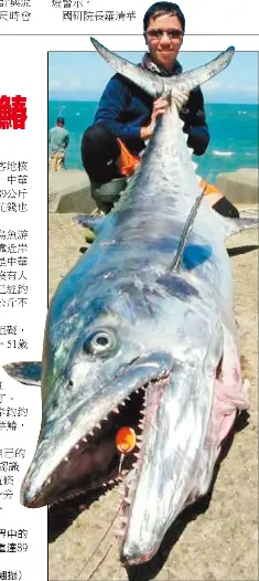 盼10年釣到夢幻中華鰆 Pressreader