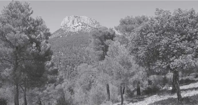  ?? Foto: CCN-Archiv ?? Die Sierra Espuña ist Murcias Vorzeige-Gebirge mit einer ungewöhnli­ch vielfältig­en Flora und Fauna.