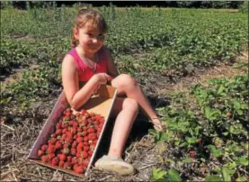  ?? PHOTOS BY PAUL POST — PPOST@DIGITALFIR­STMEDIA.COM ?? Stevie Rose of Lake Luzerne said she’s glad school is finally over. One of her first summer outings was a trip to Ariel’s Farm in Wilton on Tuesday.