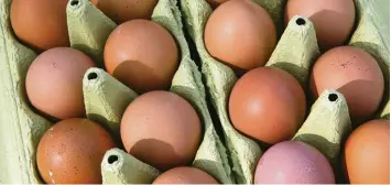  ?? Foto: Bernd Wüstneck, dpa ?? Wegen der Fipronil Funde greifen immer mehr Menschen zu Bio Eiern aus regionaler Erzeugung. Einer Umfrage zufolge verzich tet allerdings jeder Vierte seitdem komplett auf den Eier Kauf.