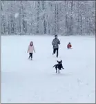  ?? Photograph courtesy of Jessica Ward ?? Running, playing, sledding in the wet snow thrilled children and pets alike.