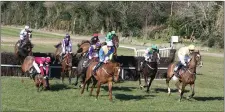  ??  ?? Axiomatic with J.P. O’ Rourke part company at the Bray Harriers point to point at Fairwood, Tinahely. Photo: Joe Byrne