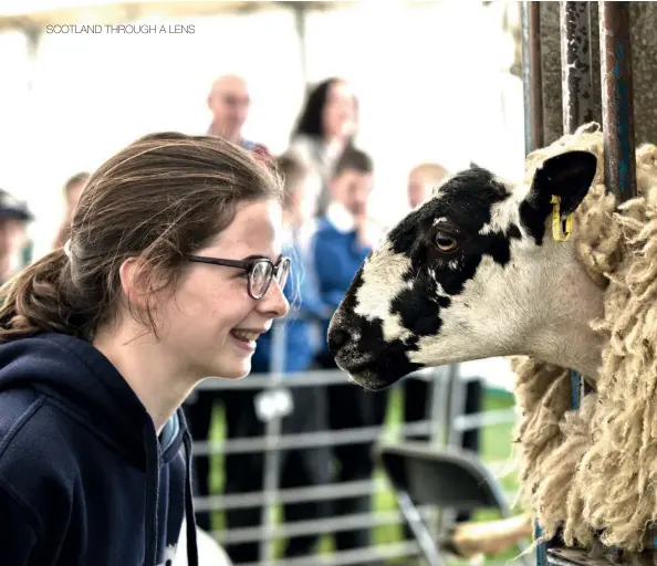  ??  ?? Above: ‘Are ewe looking at me?’ Orla from Longridge Towers School comes face to face with a sheep.