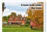  ??  ?? Cream teas under the trees