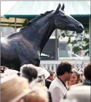  ?? ?? MEMORIAL: The Red Rum statue at Aintree